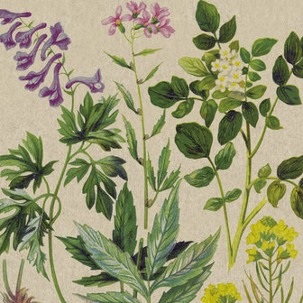 PaperDesign eco napkins botanical pattern groot