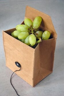 GreenPicnic verkoopt de OTR fruit bag van wasbaar papier - Zuperzozial
