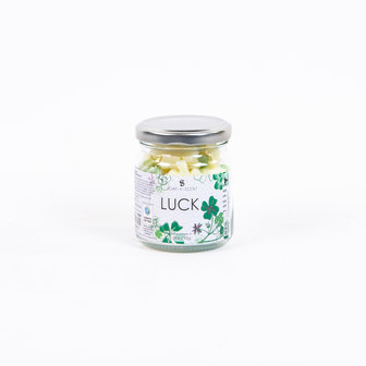 Soap n scent Jar of Luck, kleine biologische handzeepjes Greenpicnic