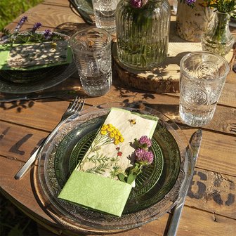 Make it a GreenPicnic met de fsc eco servetten met natuurlijke printjes