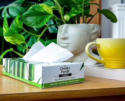 GreenPicnic - Bamboevezel tissues doos van The Cheeky Panda