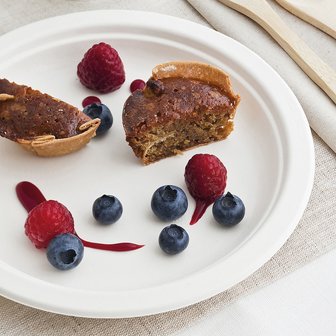 Bio disposable plate, biologisch afbreekbaar wegwerp dinerbord van suikerriet