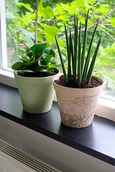 Zuperzozial planten potten Greenpicnic