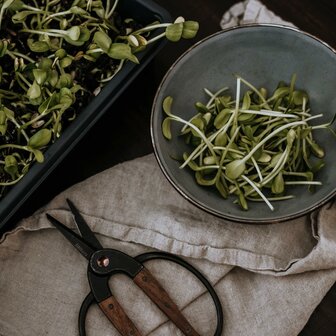 Have a GreenPicnic met duurzaam enamel servies van Barebones