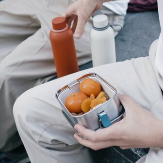 Ekobo RVS lunchbox met siliconen binnenbakje bij Greenpicnic