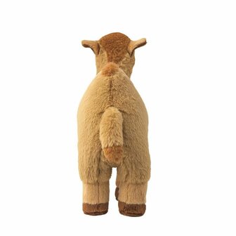 Knuffel Kameel 30cm