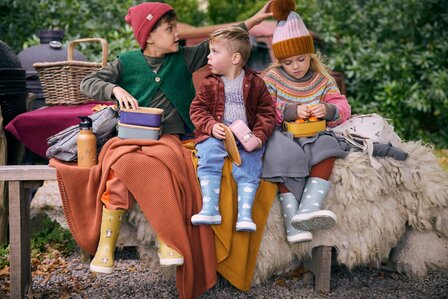 Fresk lunchboxen van roestvrij staal bij Greenpicnic