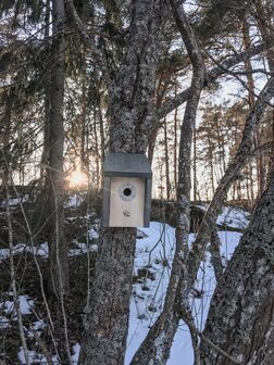 Ecofurn birdhouse, vogelhuisje FSC Rock Grey