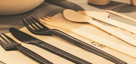 CPLA wegwerpbestek en FSC houten bestek Greenpicnic