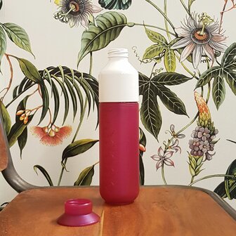 Dopper Funky Fuchsia waterfles bij Greenpicnic
