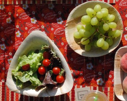 palmblad borden biologisch afbreekbaar servies van greenpicnic