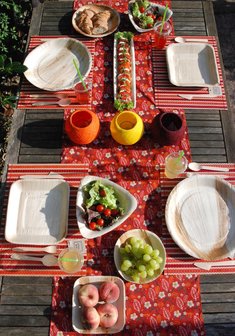 Green Picnic, Duurzaam biologisch afbreekbaar wegwerpservies