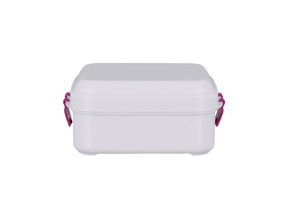 Biodora lunchbox klein