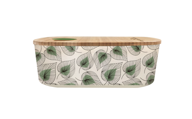 BioLoco plant lunchbox Line art Leaves - GreenPicnic