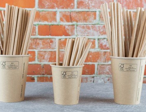 Greenpicnic Kraft wegwerp koffiebekers en rietjes