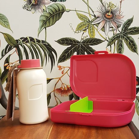 Ajaa roze PLA bioplastic lunchverpakkingen Greenpicnic