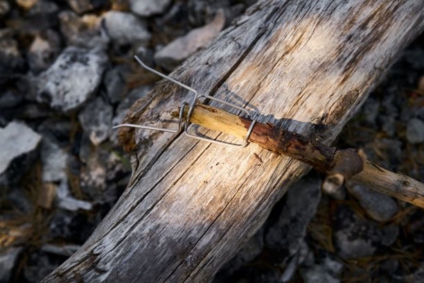 GreenPicnic - Bio firefork 2-pack van Light My Fire