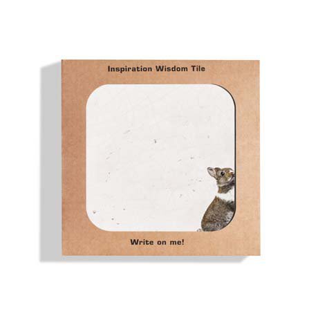 DDB Inspiration Wisdom Tile, whiteboard tegeltje Rabbit