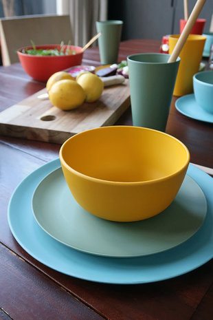 Zuperzozial gekleurd CPLA servies Bio plastic Greenpicnic