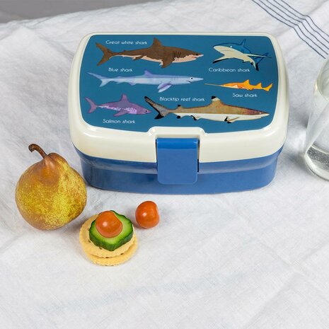 Brooddoos met haaien print, REX London lunchbox Sharks