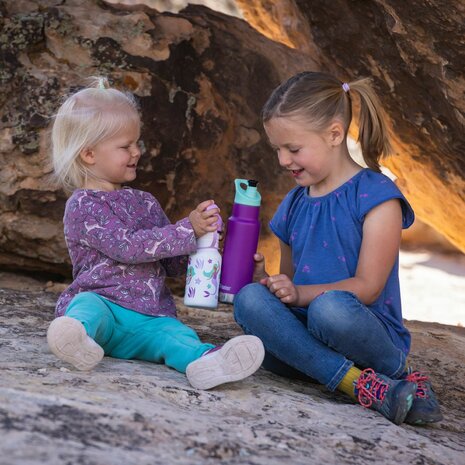 Kid Kanteen rvs kinder drinkflessen met bidondop