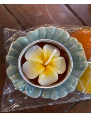 keramieken schaaltje met bloem waxine, Fairtrade bij Greenpicnic