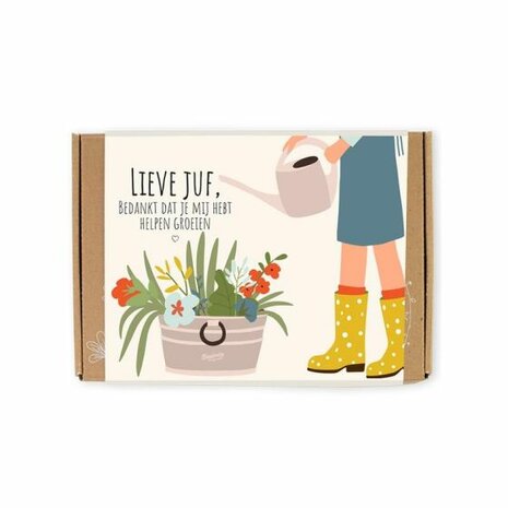 Lieve Juf Blossombs bloembommetjes set van 7