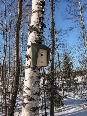 Houten vogelhuisje van FSC hout bij Greenpicnic