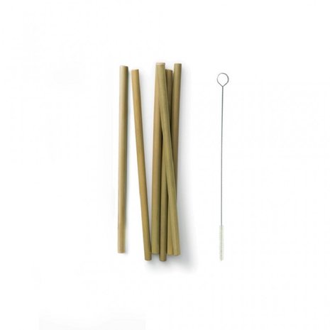 Bamboe rietjes met schoonmaakborstel GreenPicnic