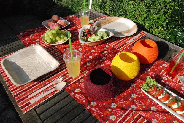 GreenPicnic, biologisch afbreekbaar, servies, eco,  bio