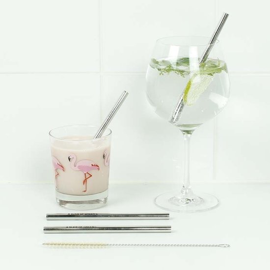 Korte RVS drinkrietjes met borsteltje