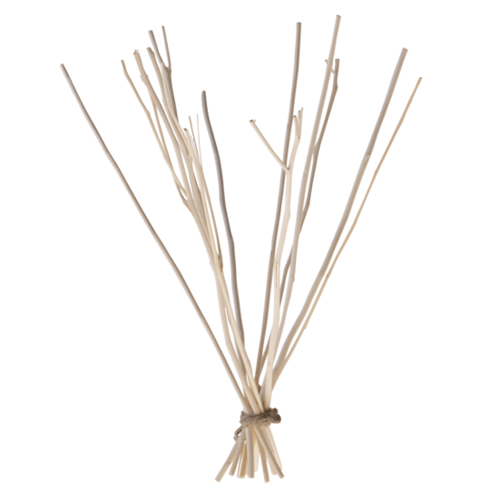 We Love The Planet navulling Kajute stokjes - diffuser branches