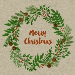 GreenPicnic - Merry Christmas Berry Wrath servetjes van Naturals, cocktailservetten voor de kerstdagen