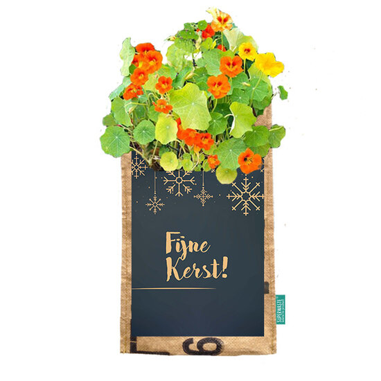 Superwaste hang kweektuin Fijne Kerst, Greenpicnic