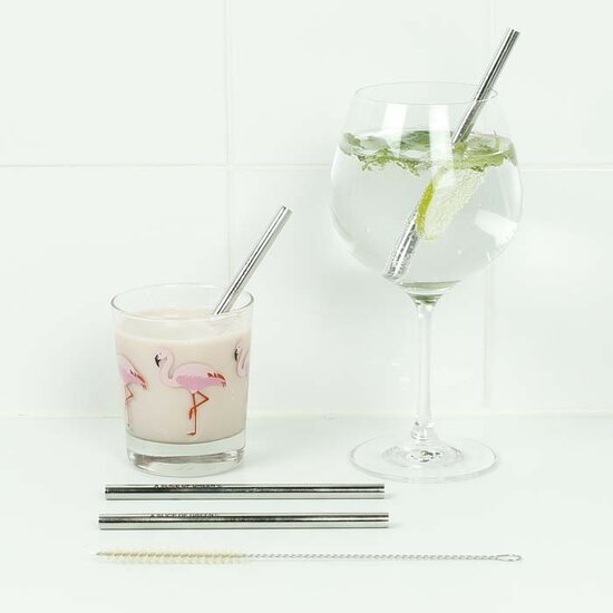 Korte RVS drinkrietjes met borsteltje