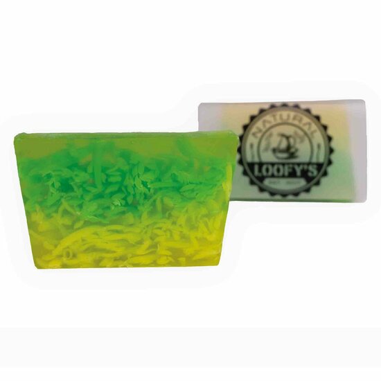 Zeepblok Loofys plastic vrij bij Greenpicnic