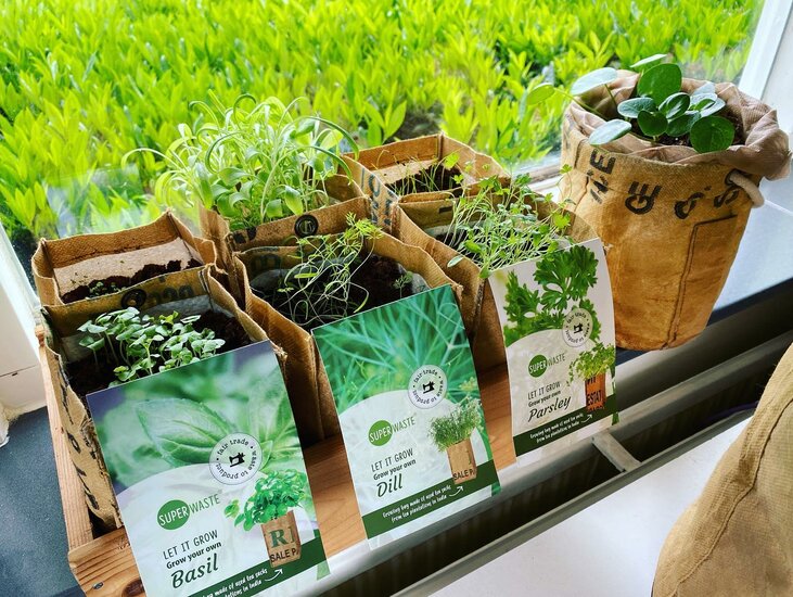 Superwaste Let it Grow kruidentuintjes