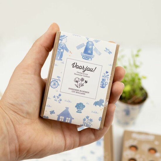 Bloemen uit Holland in bloembommetjes van Blossombs