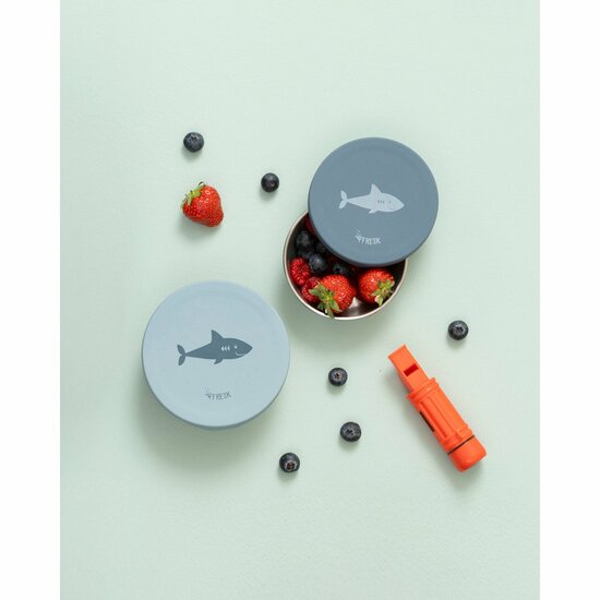 Fresk Shark snackbox set van RVS