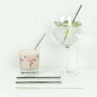Korte RVS drinkrietjes met borsteltje