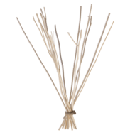 We Love The Planet navulling Kajute stokjes - diffuser branches