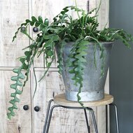 Bijzondere plantenpot van gerecycled materiaal bij GreenPicnic