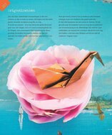 Pagina Boek Vive la Vie van Ingrid van Willenswaard