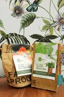 Superwaste Let it Grow cadeauzakjes met munt of Oost-Indische kers