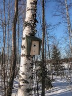 Houten vogelhuisje van FSC hout bij Greenpicnic