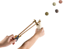 Kleurrijke bloemenzaden van Blossombs