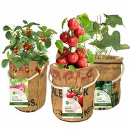 Superwaste kweek potten Greenpicnic