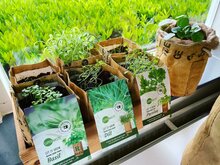 Let it Grow kruidentuintjes van Superwaste Greenpicnic