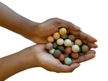 Bloembommetjes van Blossombs