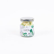 Soap n scent Jar of Luck, kleine biologische handzeepjes Greenpicnic